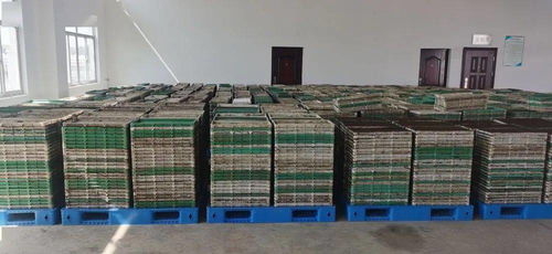 科技賦能農(nóng)業(yè)新篇章 我市首座工廠化水稻集中育秧中心落成啟用